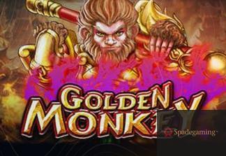 Golden Monkey